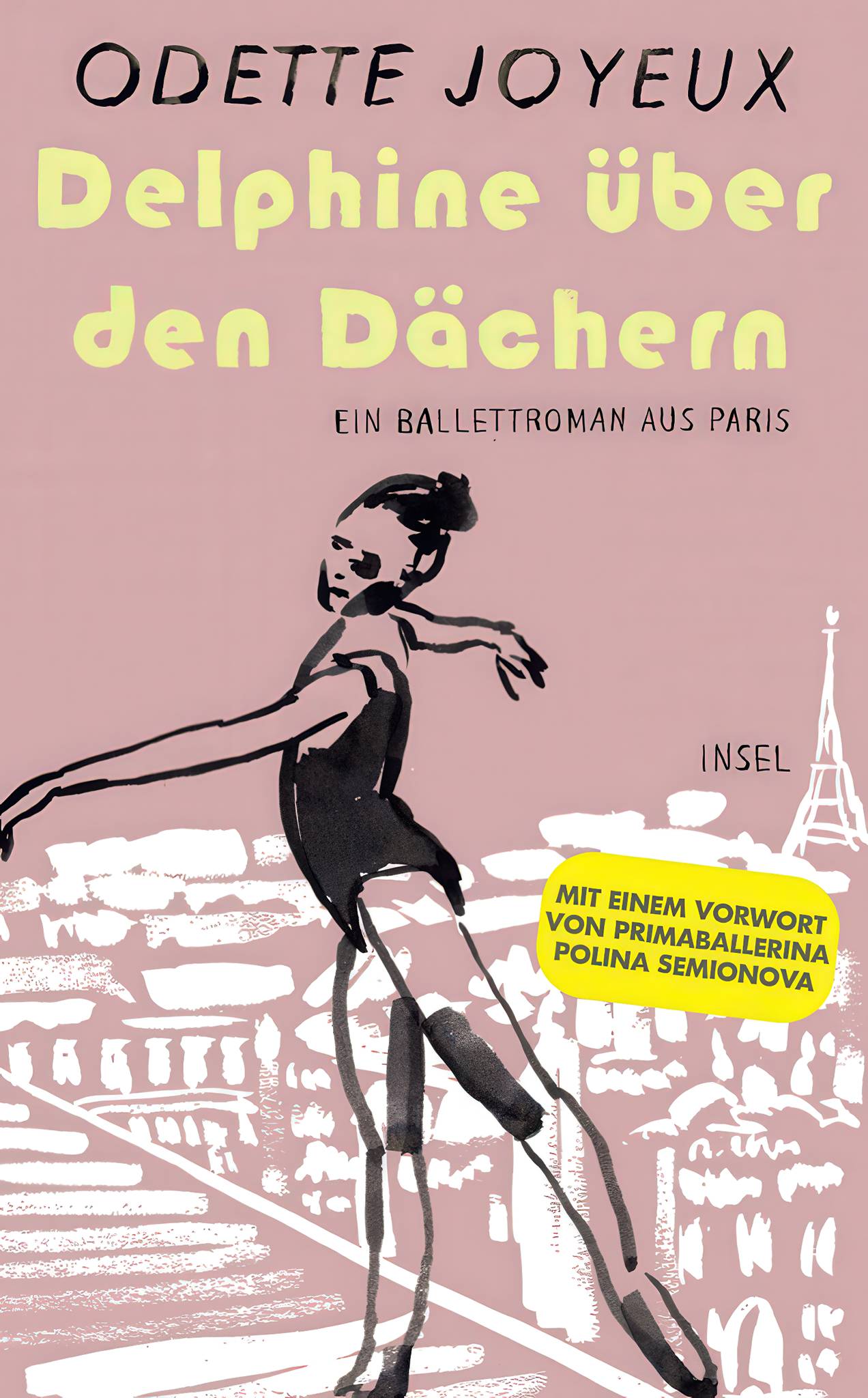Insel Verlag Delphine Ueber Den Daechern Ballettroman Aus Paris Ab 9 Jahre 98210 01