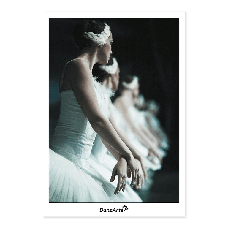 Danzarte Swan Lake Ballett Postkarte Schwanensee 01