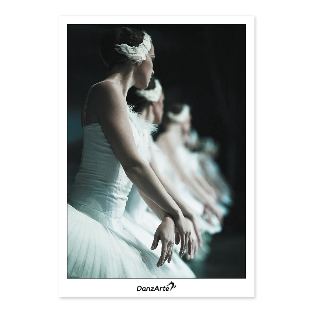 Danzarte Swan Lake Ballett Postkarte Schwanensee 01