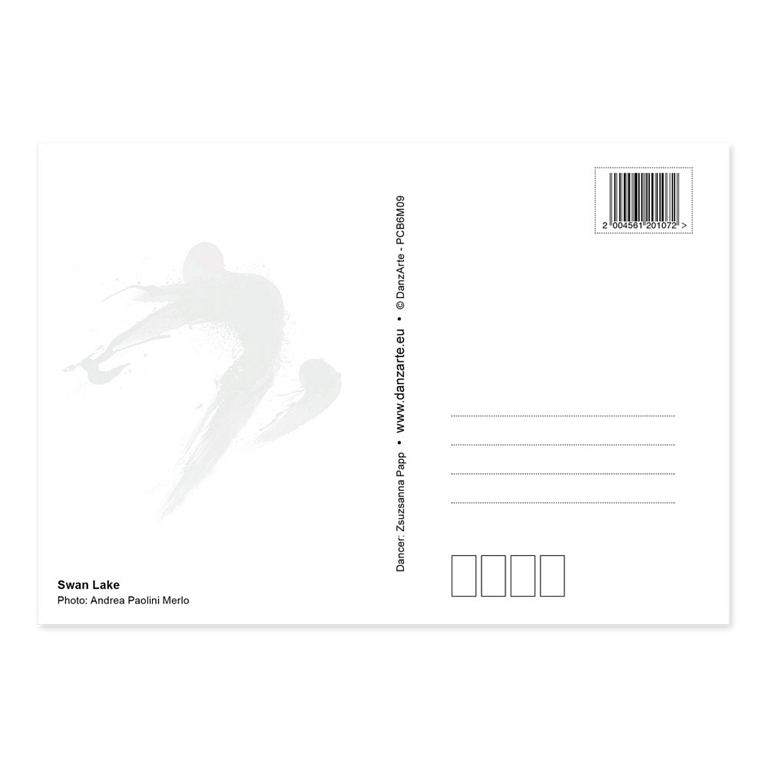 Danzarte Swan Lake Ballett Postkarte Schwanensee 02
