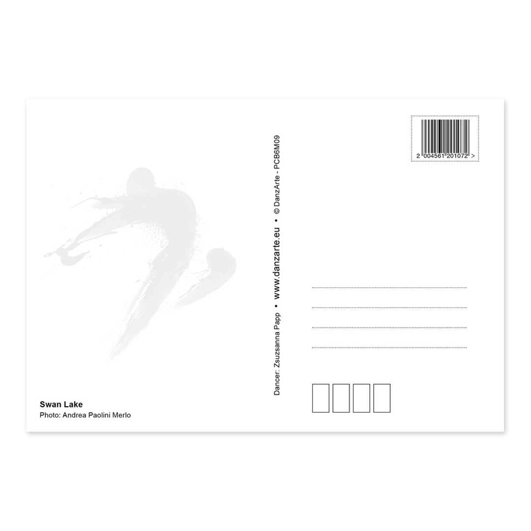Danzarte Swan Lake Ballett Postkarte Schwanensee 02