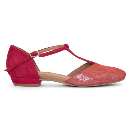 Tanzschuhe mit flachem Absatz